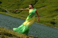 Kajal Saree Photos